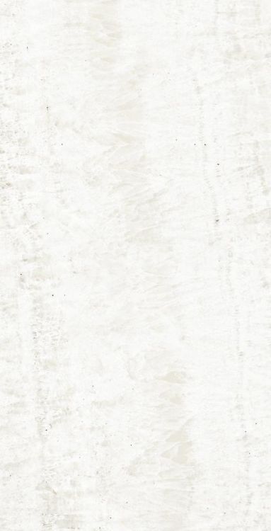 OL Onyx White Polished 12 x 24